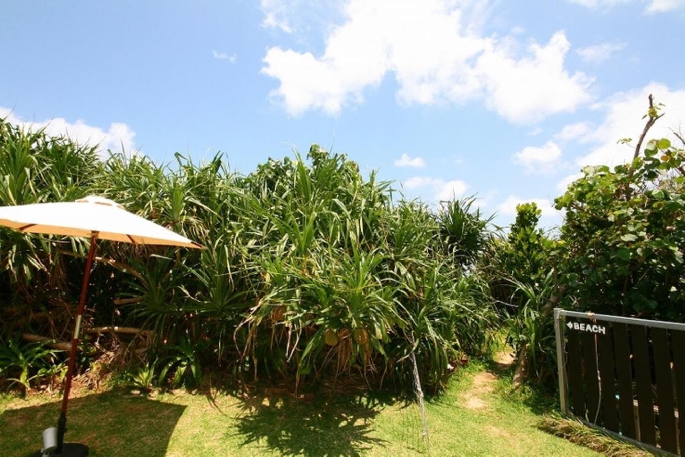 Casa Dumai Oceanvilla 나키진 외부 사진